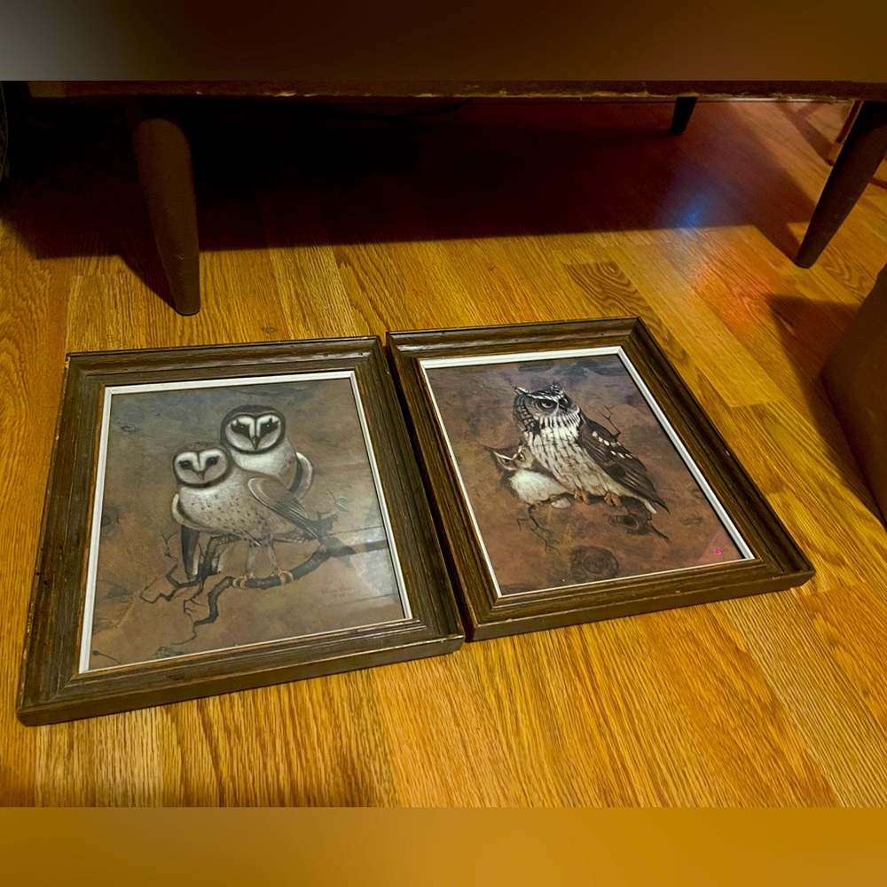 Vintage Turner Wall Accessory Framed Owl Prints